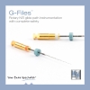G-Files PDF