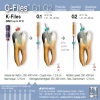 G-Files Protocolo PDF